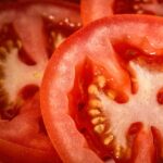 como sembrar tomates