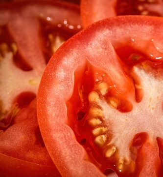 como sembrar tomates